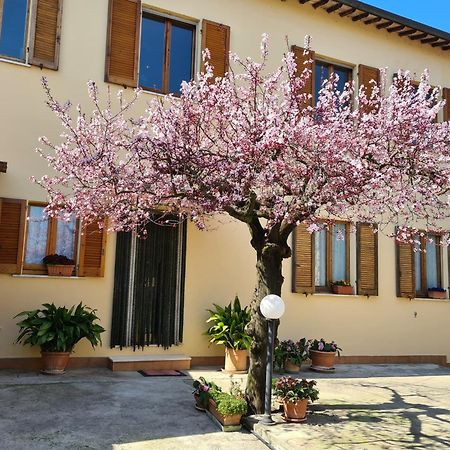 B&B Barbara Assisi Cannara Zewnętrze zdjęcie