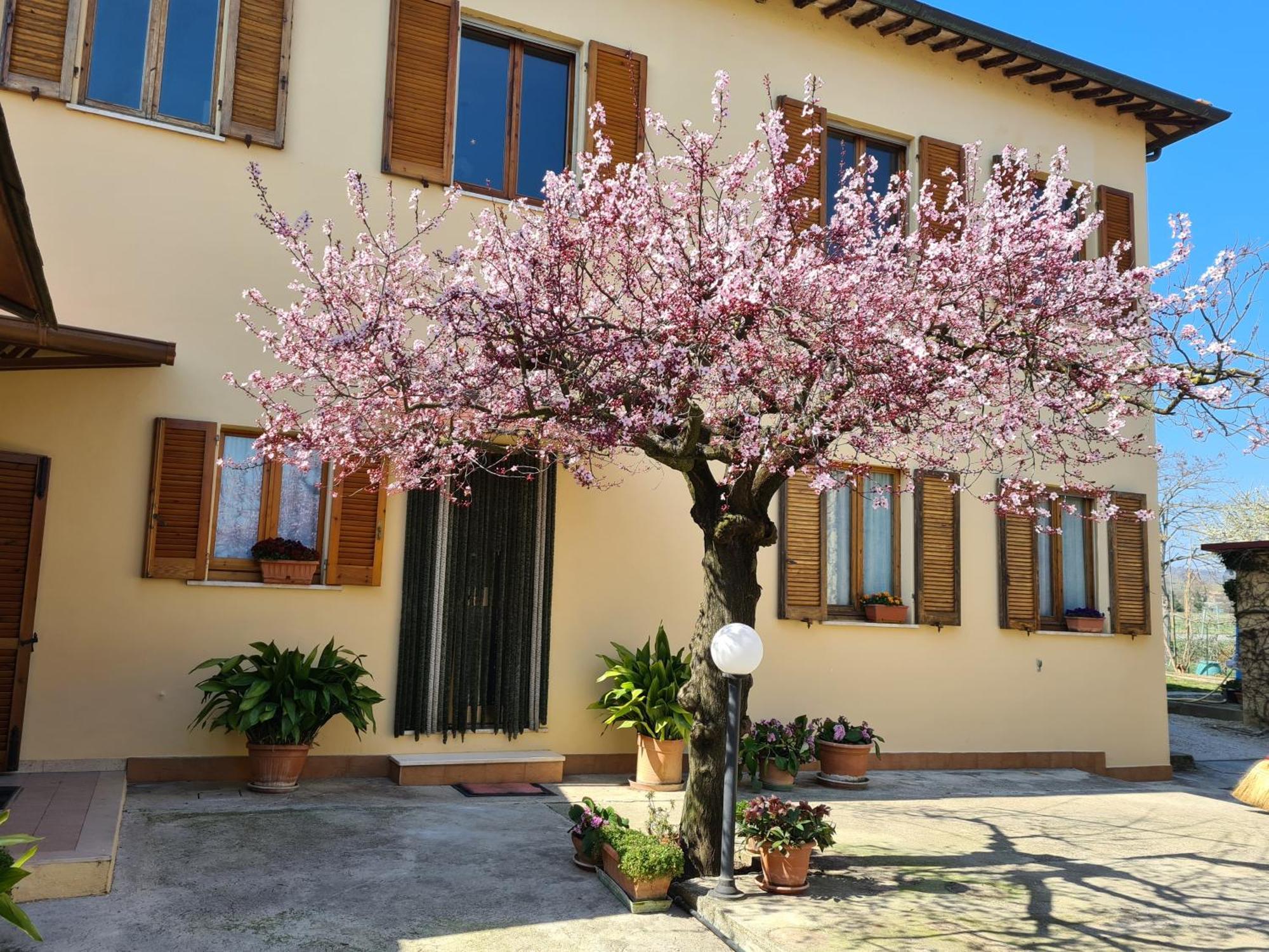 B&B Barbara Assisi Cannara Zewnętrze zdjęcie