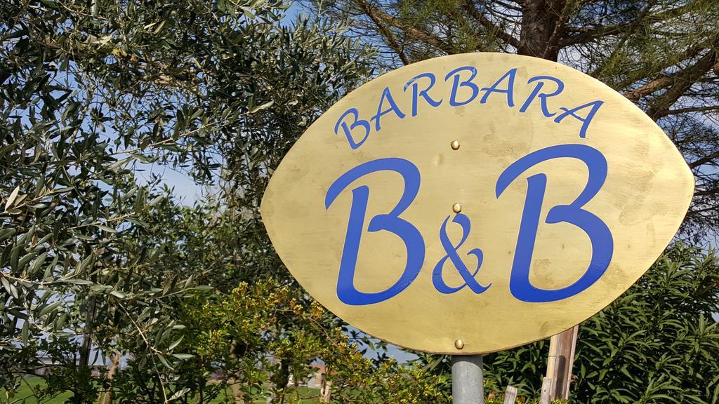 B&B Barbara Assisi Cannara Zewnętrze zdjęcie