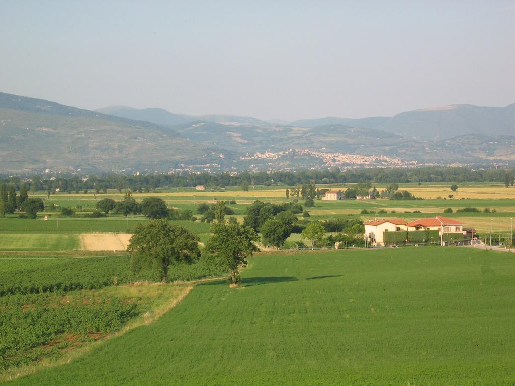 B&B Barbara Assisi Cannara Zewnętrze zdjęcie